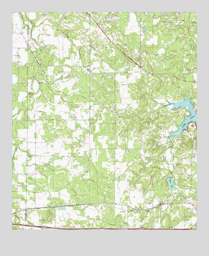 Bernie Lake, TX USGS Topographic Map
