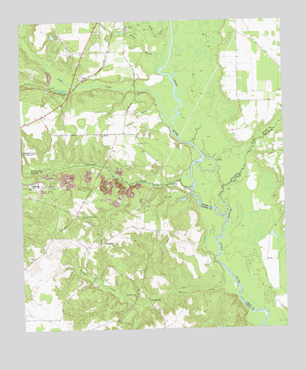 Pennington, GA USGS Topographic Map