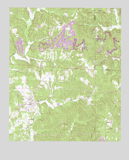 Berry, AL USGS Topographic Map