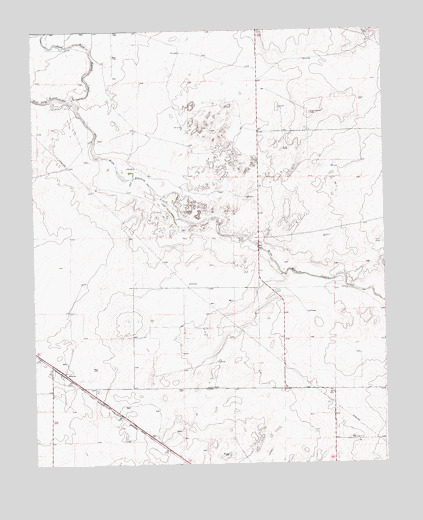 Perico, TX USGS Topographic Map