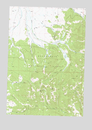 Peterson Lake, MT USGS Topographic Map