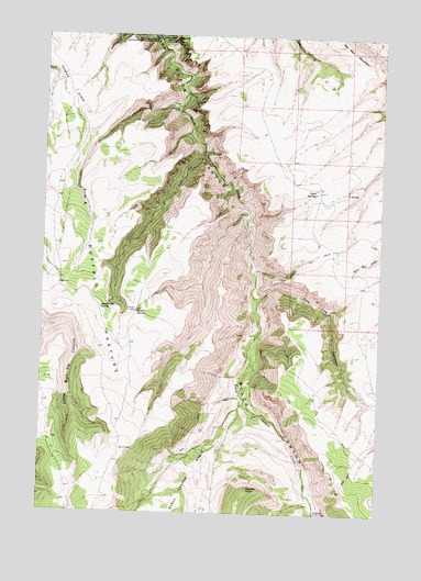 Peyote Point, MT USGS Topographic Map