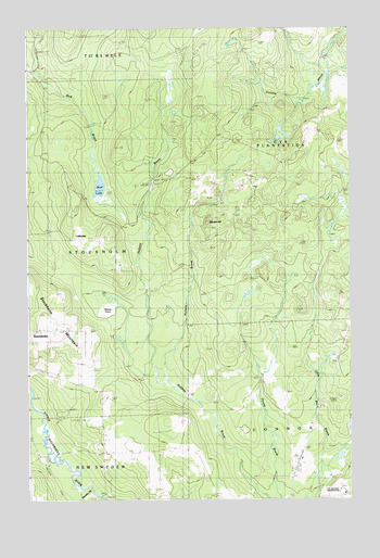 Picard Brook, ME USGS Topographic Map