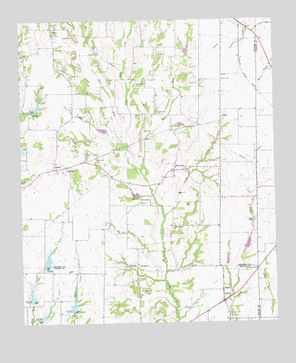 Pilot Grove, TX USGS Topographic Map