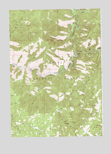 Pine Flat, ID USGS Topographic Map