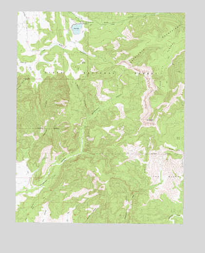 Pine Lake, UT USGS Topographic Map