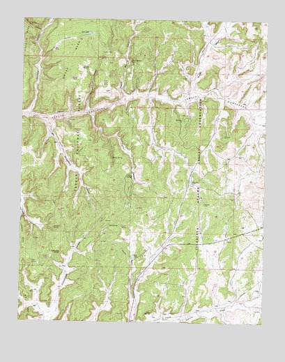 Pine Lake, NM USGS Topographic Map