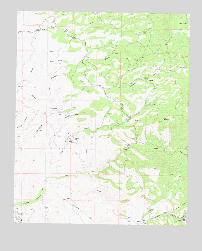 Pine Mountain, CA USGS Topographic Map