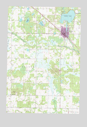 Pine River, MN USGS Topographic Map