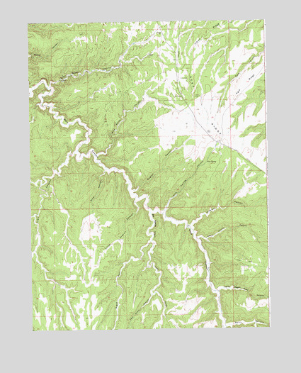 Pine Spring Canyon, UT USGS Topographic Map