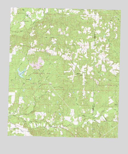 Pinebur, MS USGS Topographic Map