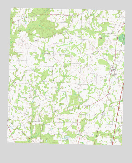 Pinehurst, GA USGS Topographic Map