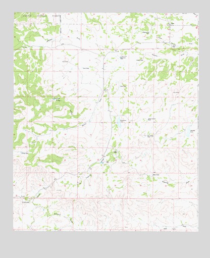 Pinon, NM USGS Topographic Map
