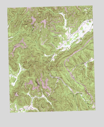 Pioneer, TN USGS Topographic Map