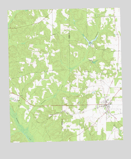 Plains, GA USGS Topographic Map