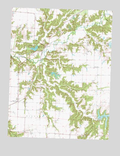 Plainview, IL USGS Topographic Map