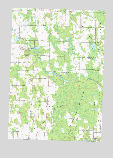 Polaski, MI USGS Topographic Map