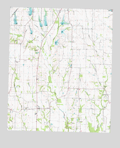 Biardstown, TX USGS Topographic Map