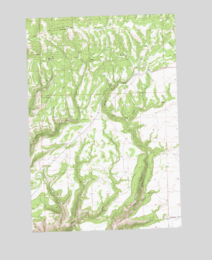 Bickleton NW, WA USGS Topographic Map