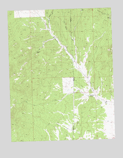 Prohibition Flat, NV USGS Topographic Map