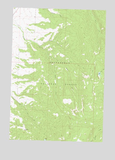 Proposal Rock, MT USGS Topographic Map