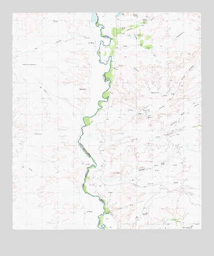 Pueblo Nuevo, TX USGS Topographic Map