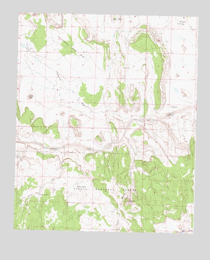 Puertecito, NM USGS Topographic Map