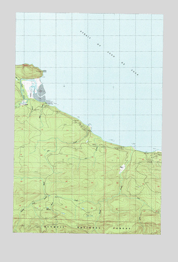 Pysht, WA USGS Topographic Map