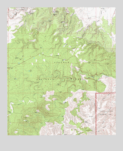 Queen, NM USGS Topographic Map