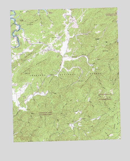 Rafter, TN USGS Topographic Map