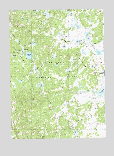 Raid Lake, WY USGS Topographic Map
