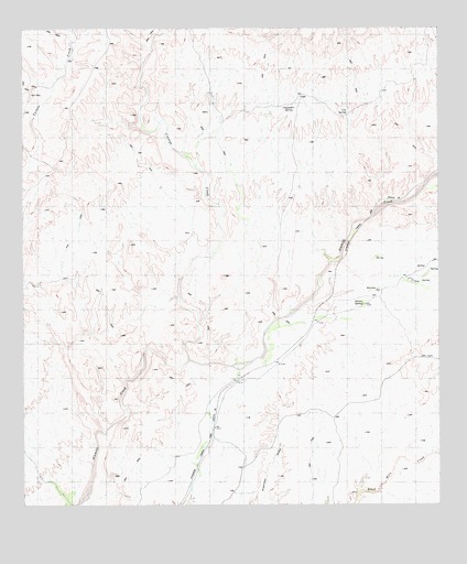 Alamo Spring, TX USGS Topographic Map