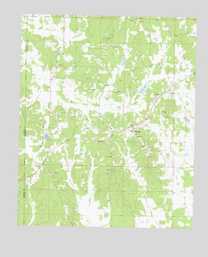 Randolph, MS USGS Topographic Map