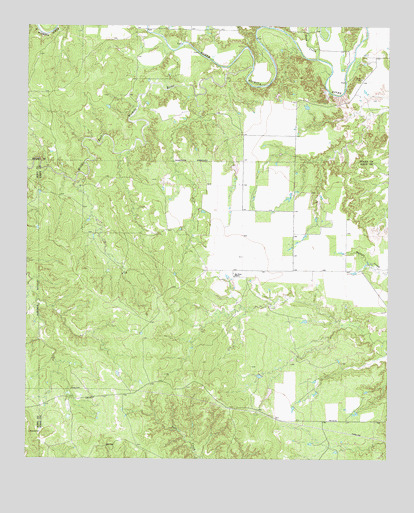 Big Four Ranch, TX USGS Topographic Map