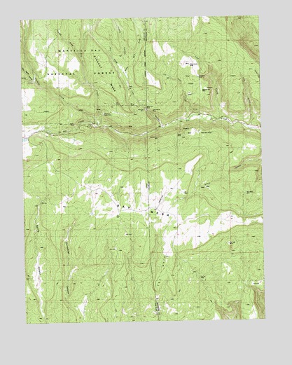 Ray Mesa, UT USGS Topographic Map