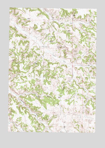 Reanus Cone, MT USGS Topographic Map