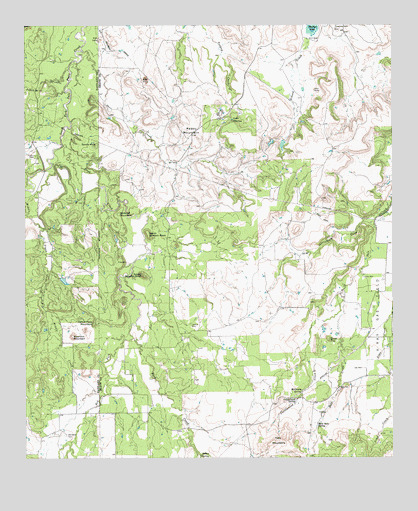 Reddy Mountain, TX USGS Topographic Map
