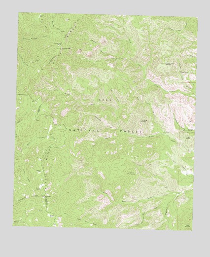 Reeds Peak, NM USGS Topographic Map
