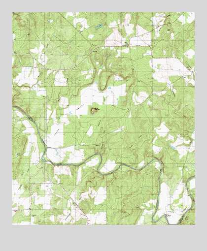 Regency, TX USGS Topographic Map