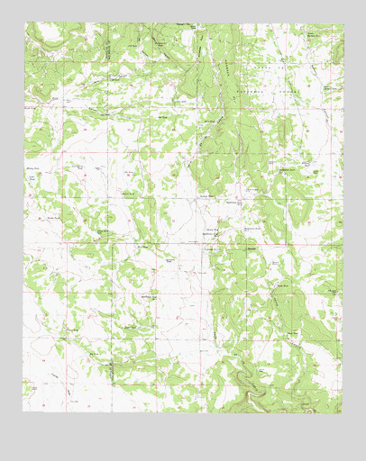 Rencona, NM USGS Topographic Map