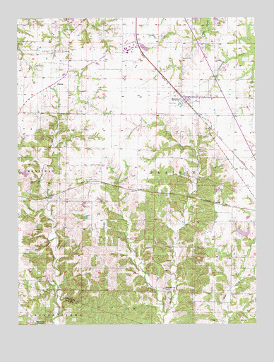 Renick, MO USGS Topographic Map