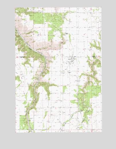 Reubens, ID USGS Topographic Map