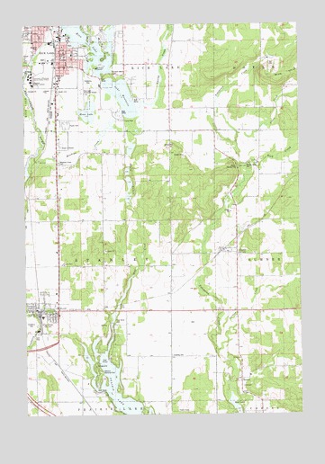 Rice Lake South, WI USGS Topographic Map
