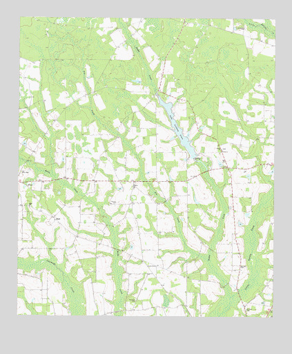 Ritch, GA USGS Topographic Map