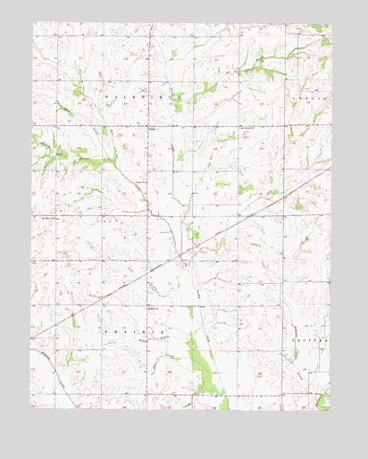 Roads, MO USGS Topographic Map