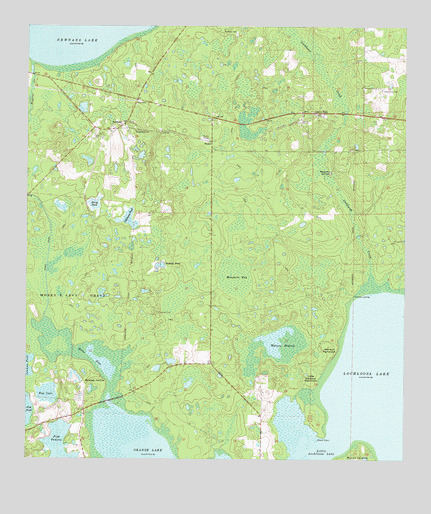 Rochelle, FL USGS Topographic Map