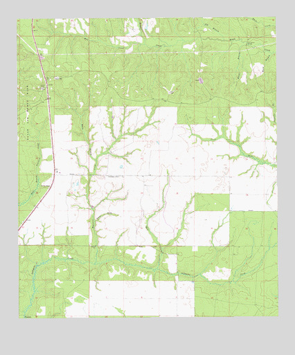 Rock Hill, FL USGS Topographic Map
