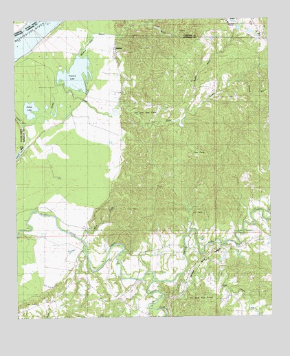 Rodney, MS USGS Topographic Map