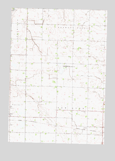 Rowena, MN USGS Topographic Map