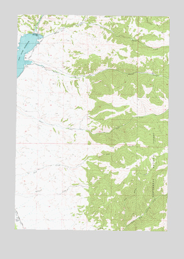 Ruby Dam, MT USGS Topographic Map